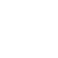 Consultant Icon