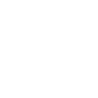 Delivery Icon