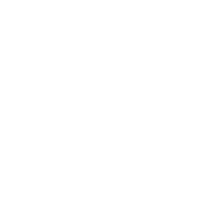 Quality Icon